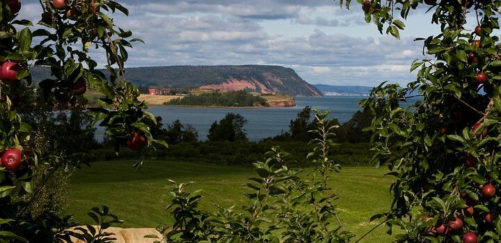 Blomidon