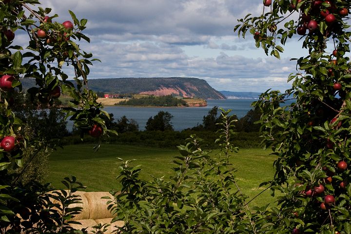 Blomidon